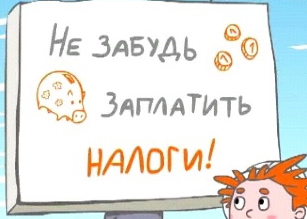 nalog.jpg